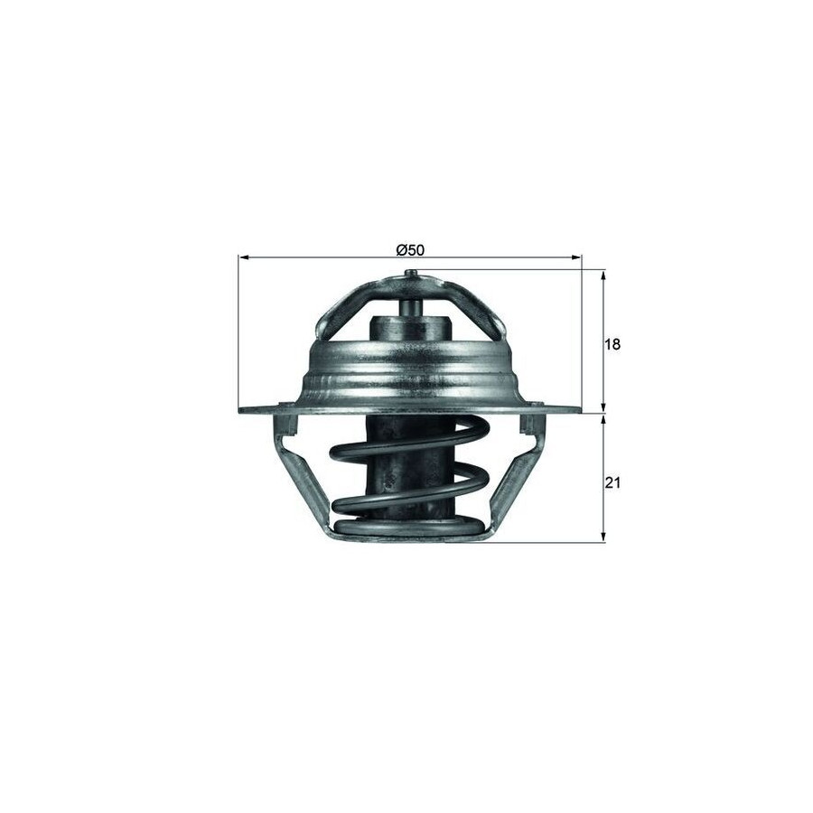 Thermostat d'eau