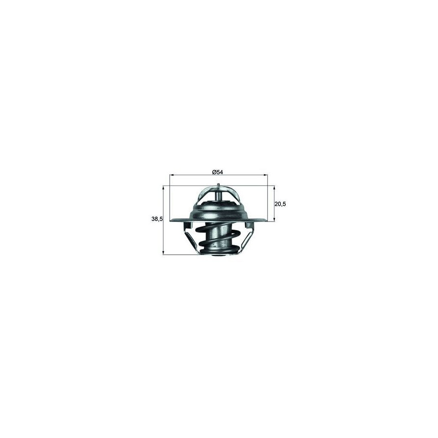 Thermostat d'eau