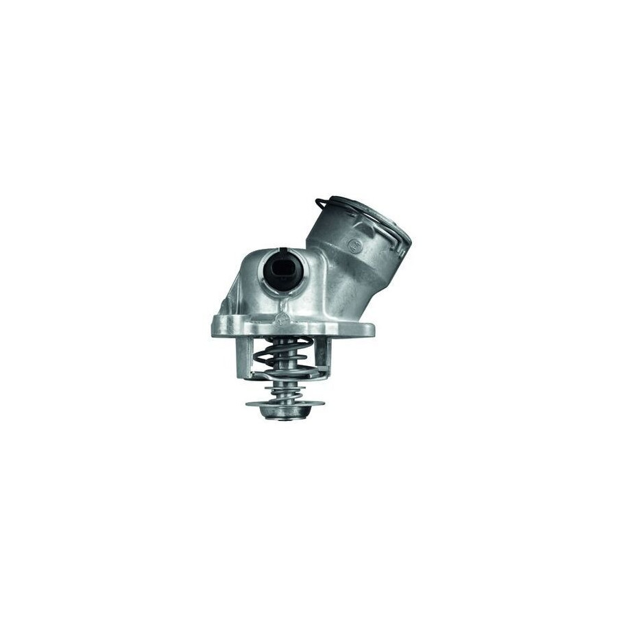 Thermostat d'eau
