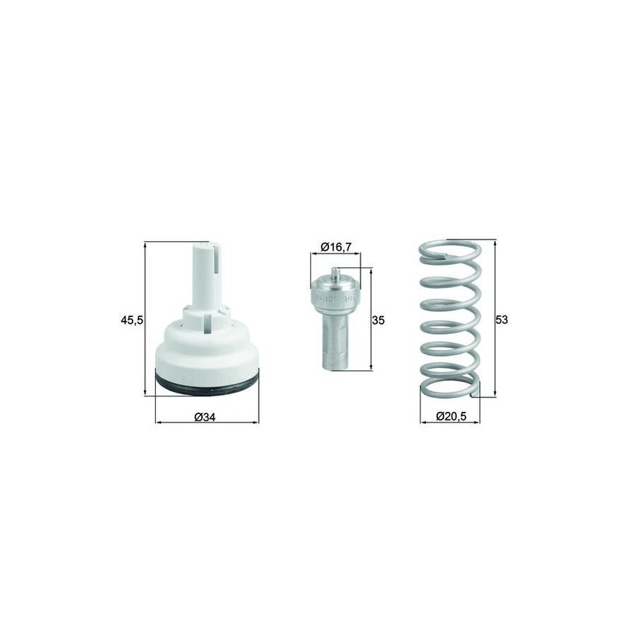 Thermostat d'eau