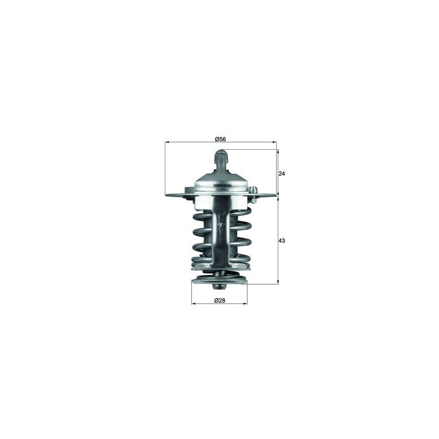 Thermostat d'eau
