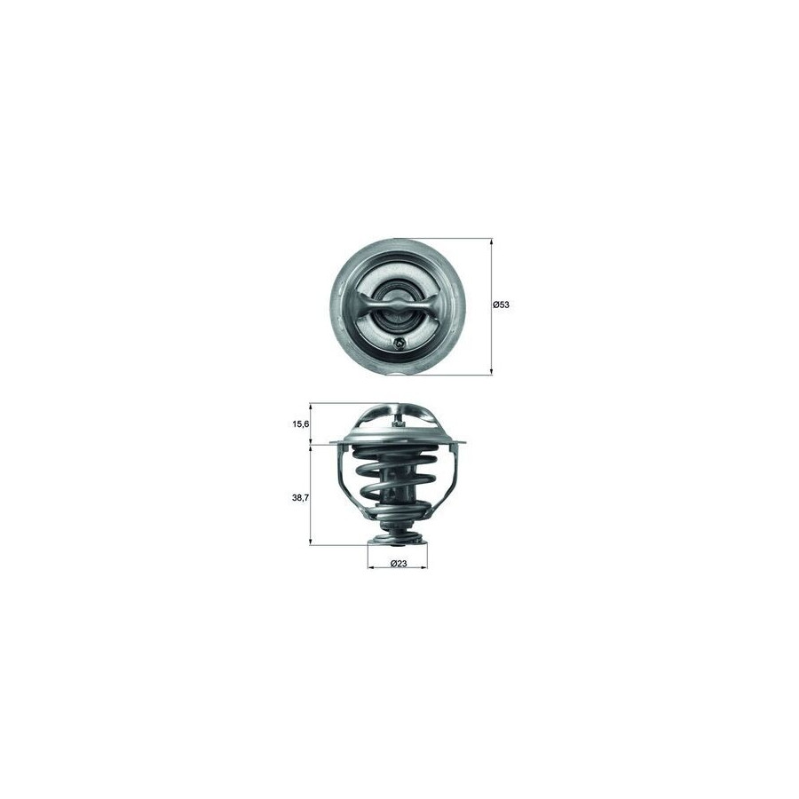 Thermostat d'eau