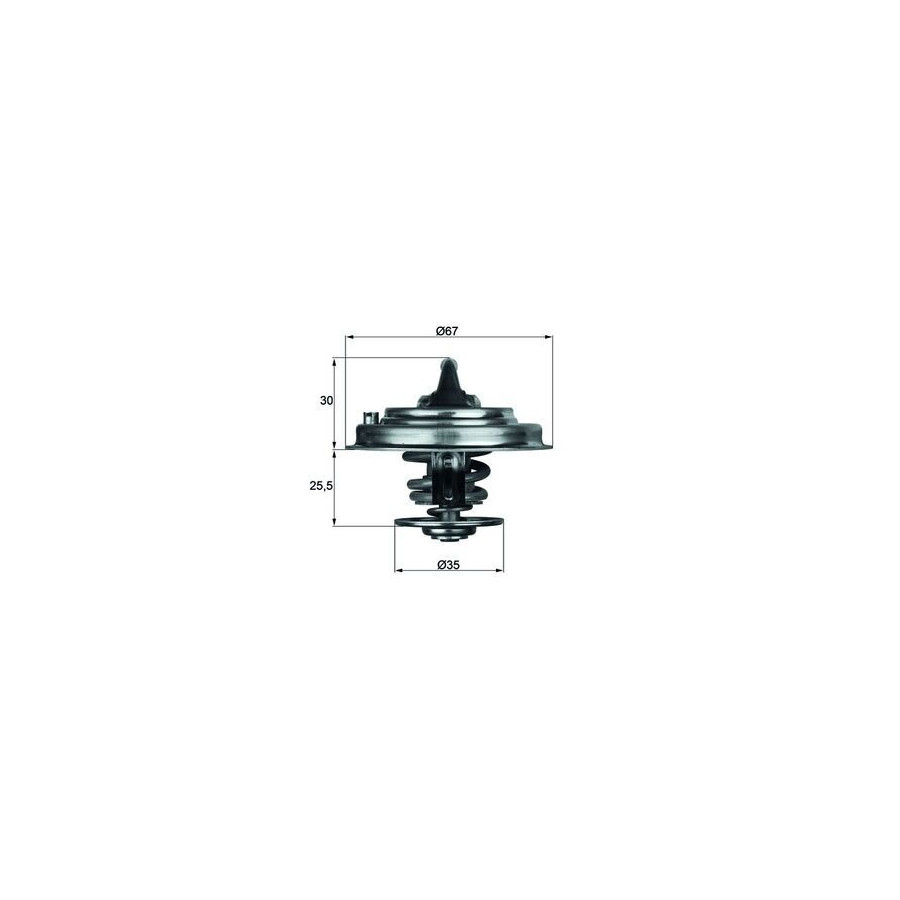 Thermostat d'eau
