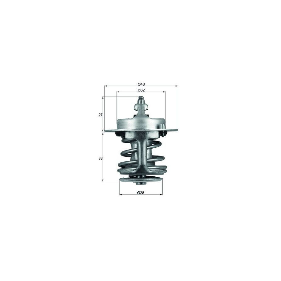 Thermostat d'eau
