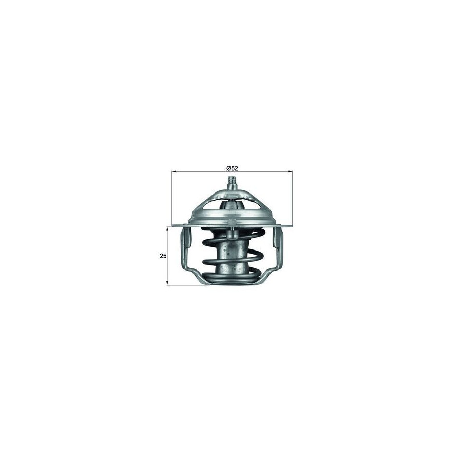 Thermostat d'eau