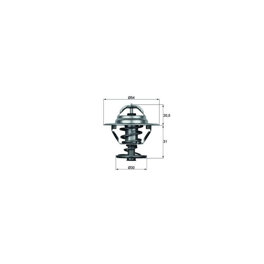 Thermostat d'eau