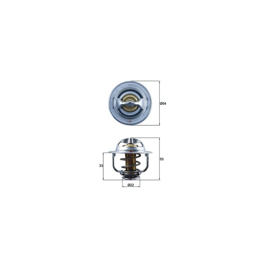 Thermostat d'eau
