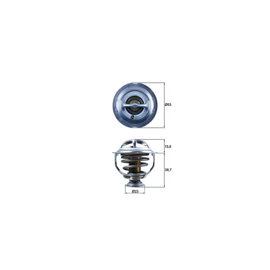 Thermostat d'eau