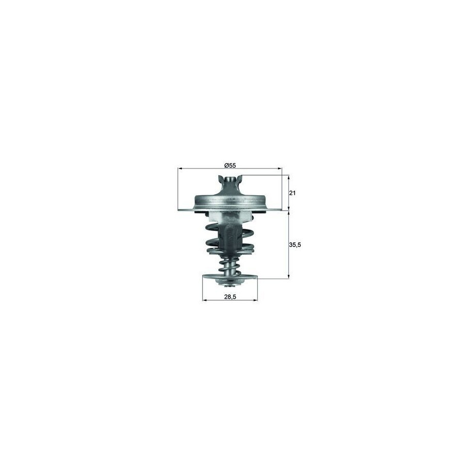Thermostat d'eau