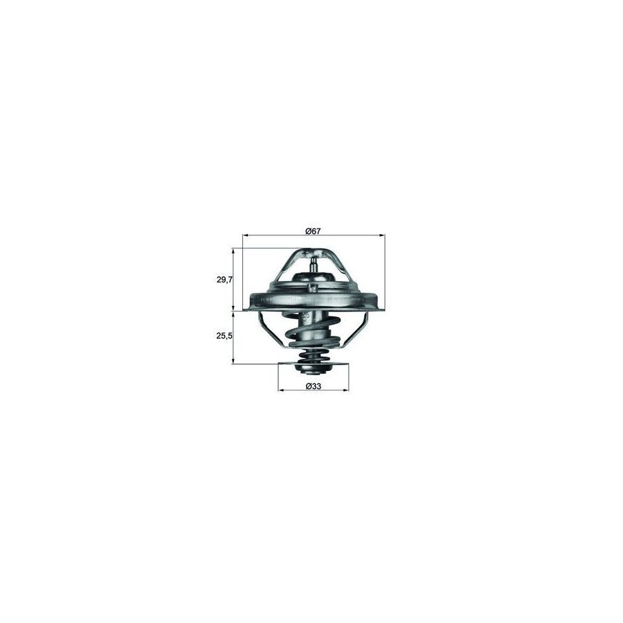 Thermostat d'eau