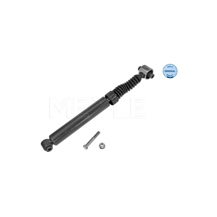 MEYLE 16-26 725 0013 Amortisseur arrière pour Renault Megane Scenic - Image 5