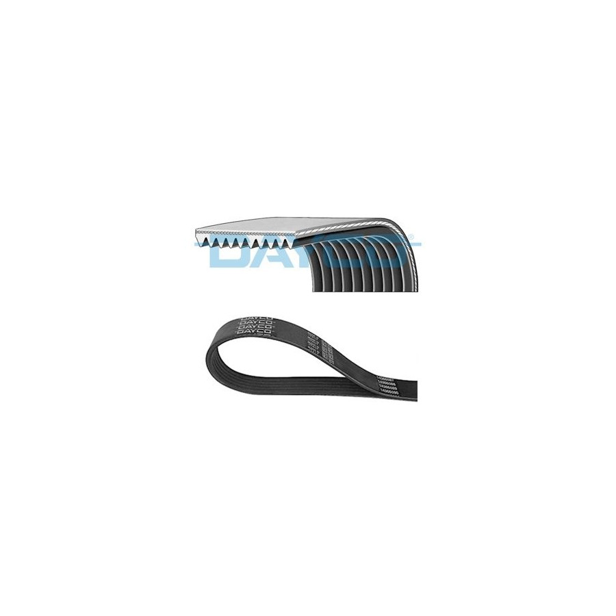 Dayco Courroie Trapézoïdale En Poly 10Pk1545hd