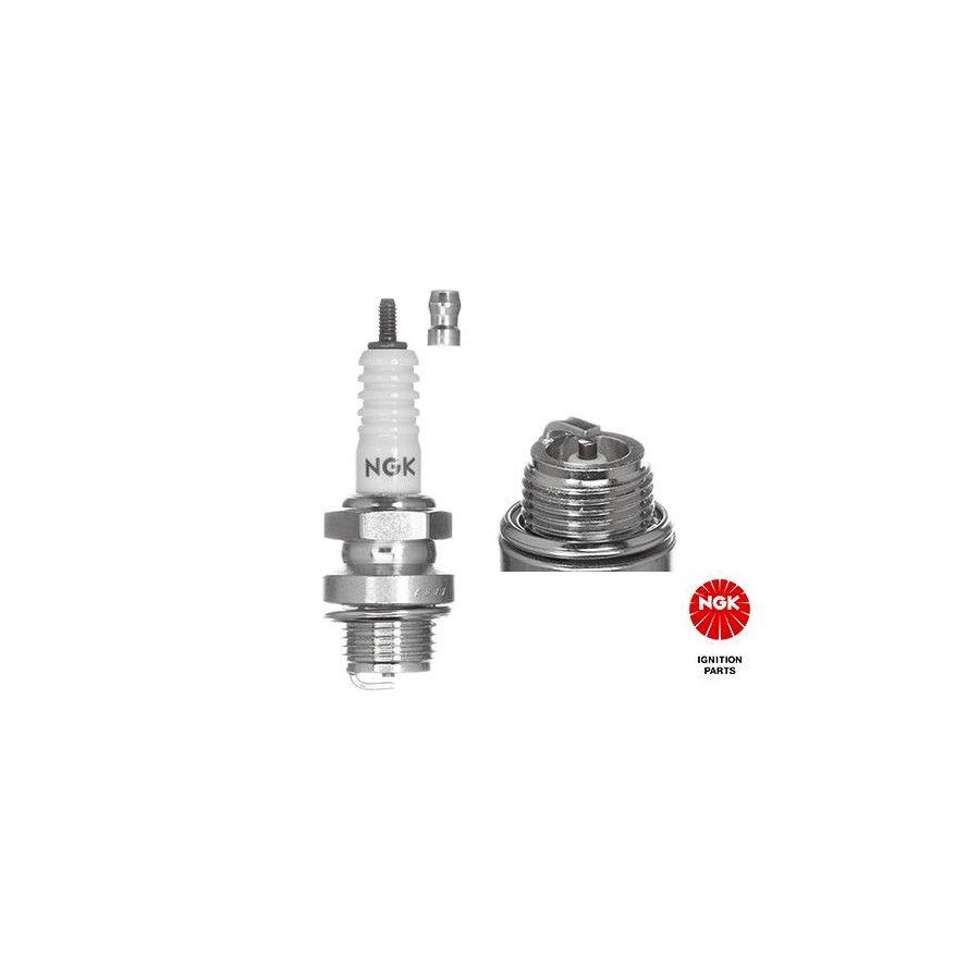 8 Bougies d’Allumage NGK IAM Expertise Siège Plat 3010 pour GLAS GOGGOMOBIL - Image 11