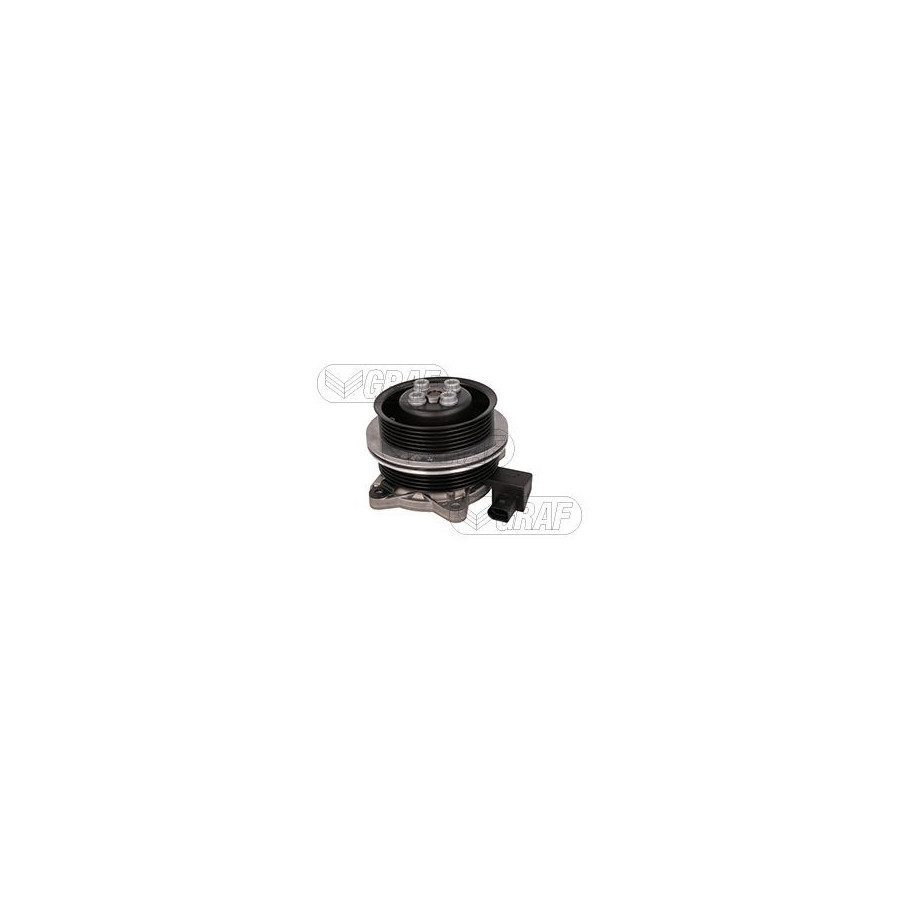 Graf Pompe À Eau, Refroidissement Du Moteur Pa1379 Pa1379 Audi;Seat;Skoda;Volkswagen