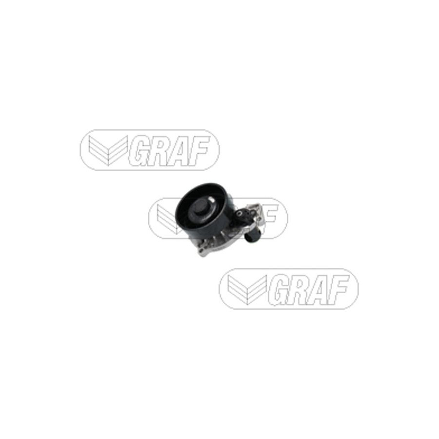 Graf Pompe À Eau, Refroidissement Du Moteur Pa1503 Pa1503 Bmw;