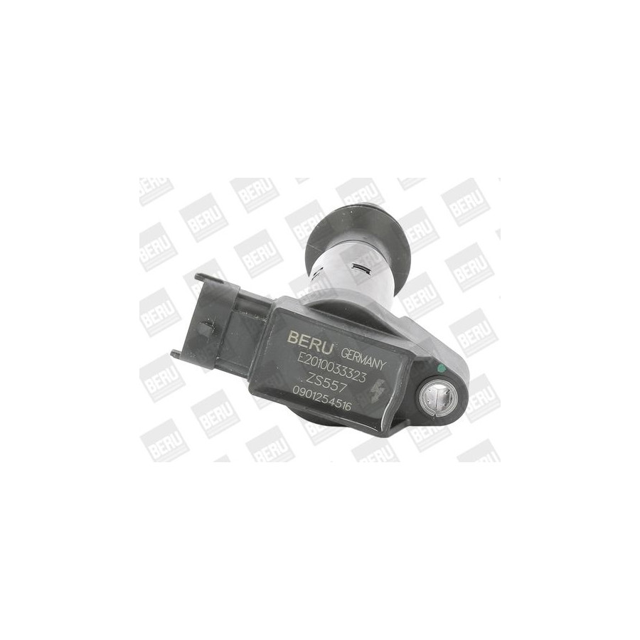 Borgwarner Beru Bobine Zs557 Zs557 Citroen;Ds;Opel;Peugeot
