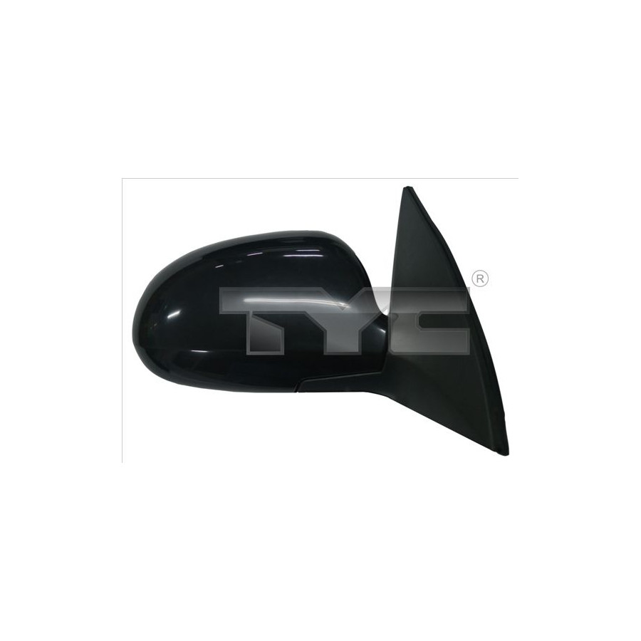 Tyc Noir Rétroviseur Extérieur 313-0036 3130036 Hyundai