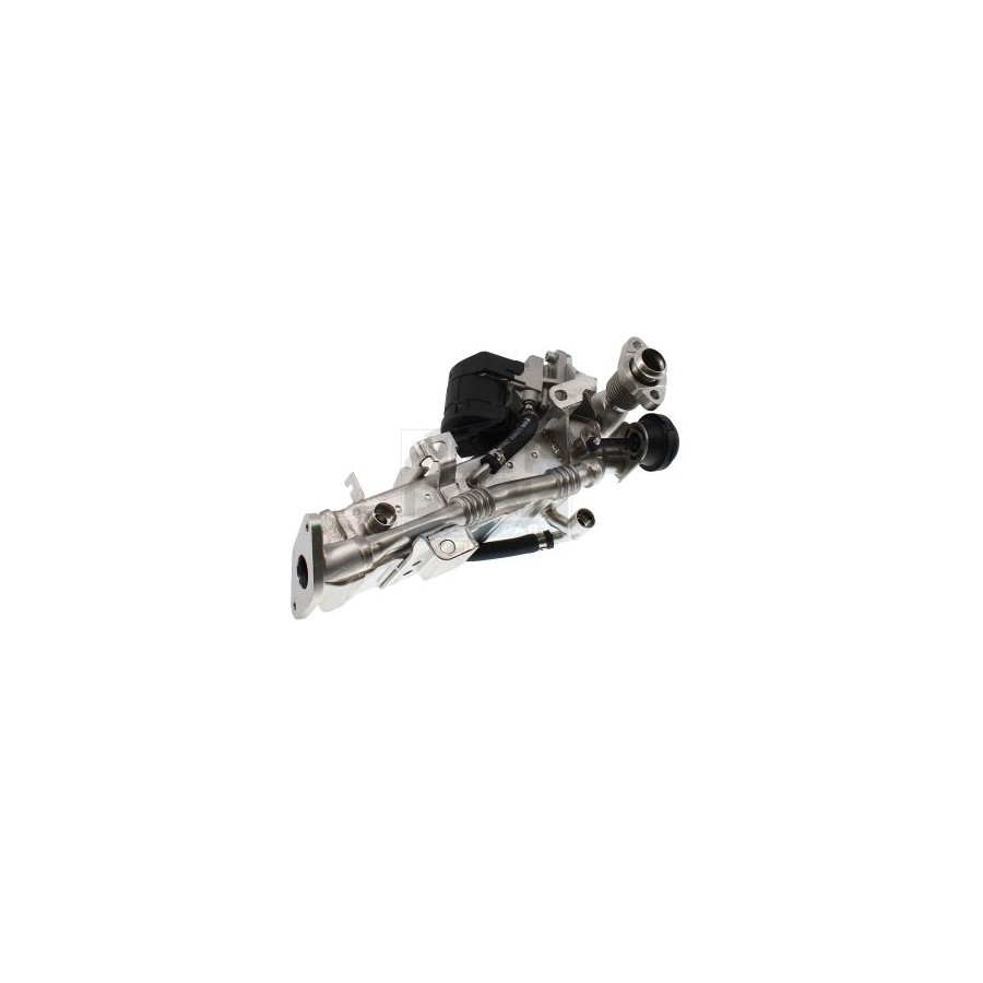 Meat & Doria Refroidisseur, Recirculation Des Gaz D'échappement 88779R Bmw
