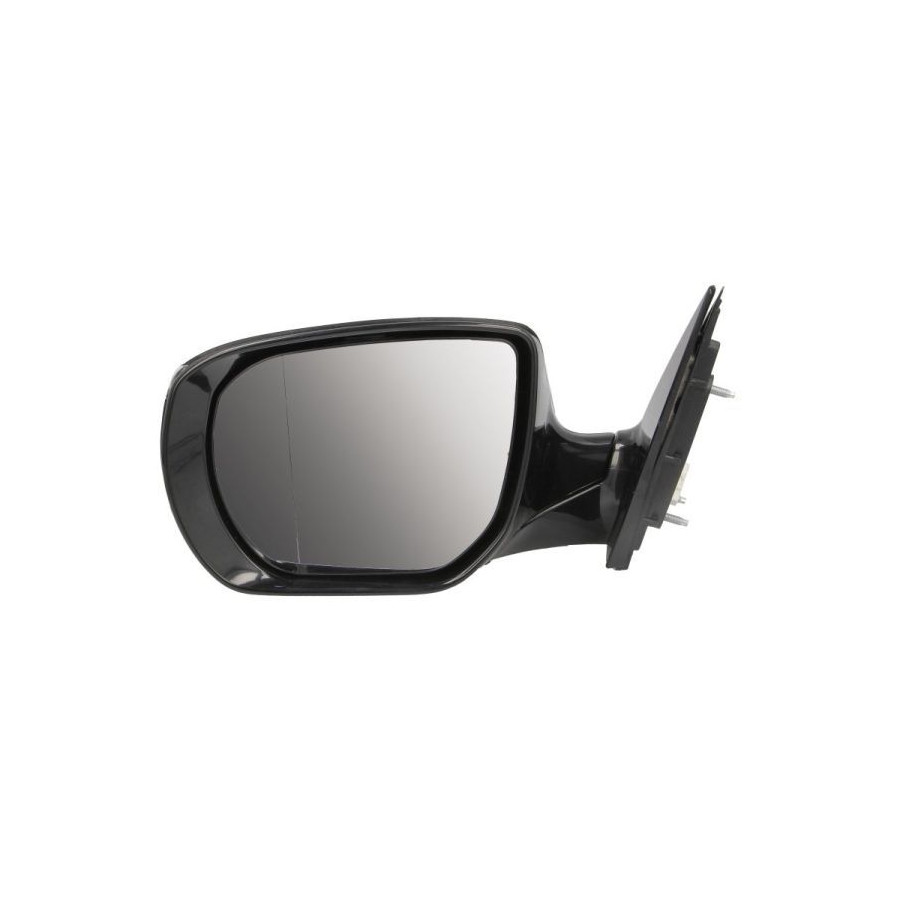 Blic Rétroviseur Extérieur 5402200556312P Hyundai