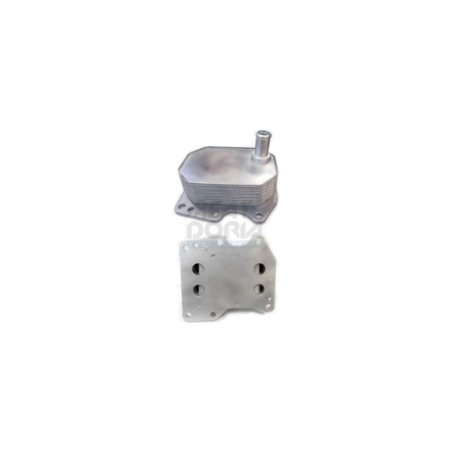 Meat & Doria Refroidisseur D'huile, Huile Moteur 95094 Ford