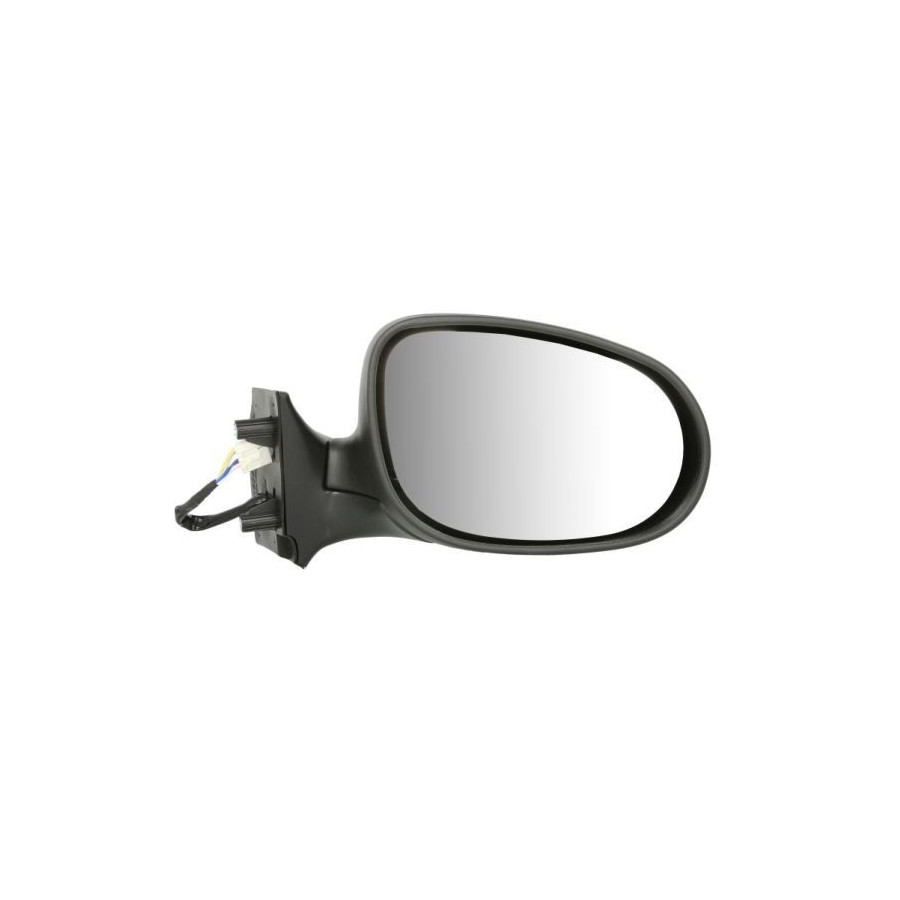 Blic Rétroviseur Extérieur 540207034368P Fiat