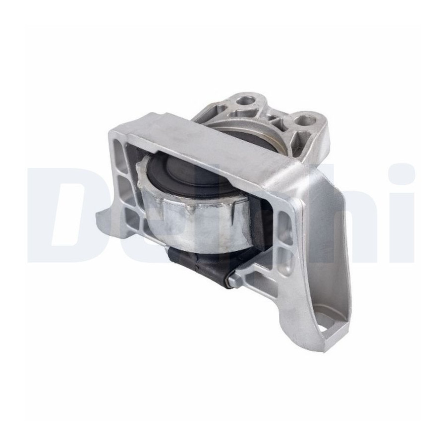 Delphi Support Moteur Tem131 - Image 3