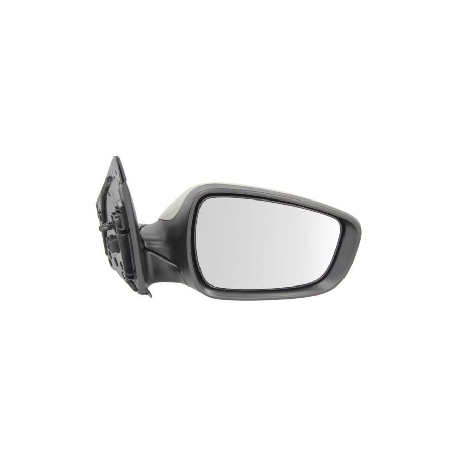 Blic Rétroviseur Extérieur 5402202001368P Hyundai