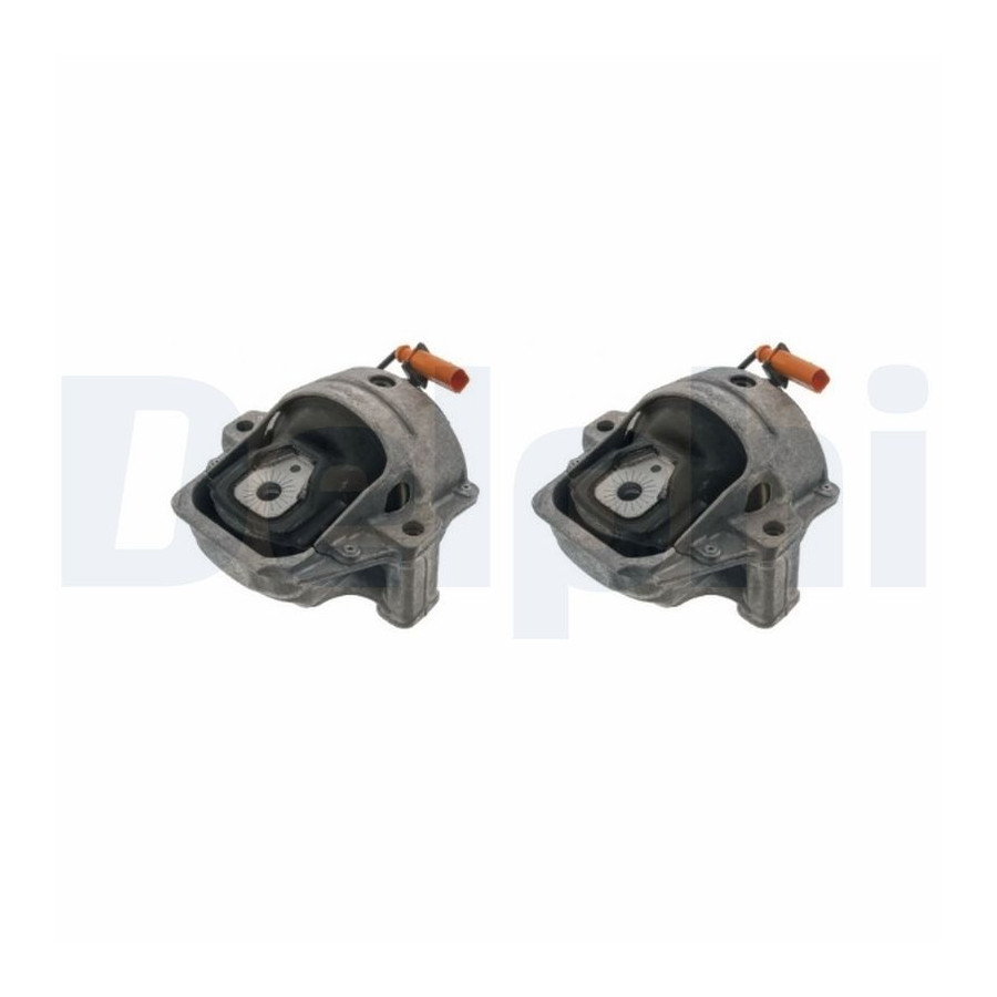 Delphi Palier De Support De Corps D'essieu/Moteur Tem269 Audi