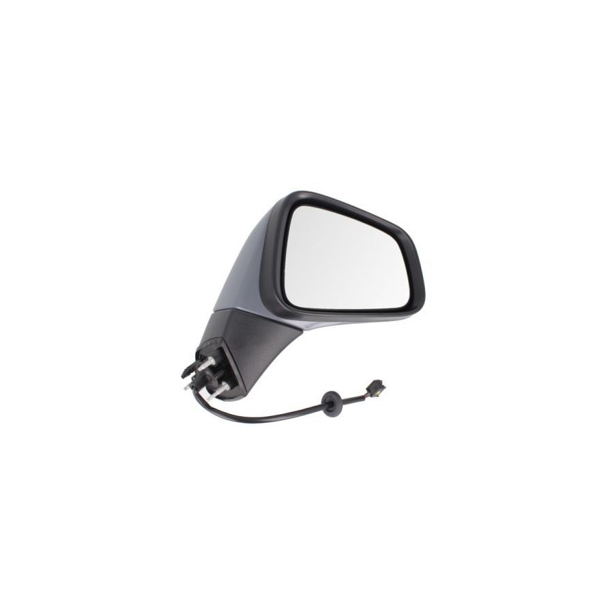Blic Rétroviseur Extérieur 5402042002012P Opel