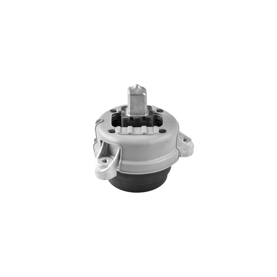 Tedgum Palier De Support De Corps D'essieu/Moteur Ted56397 Bmw