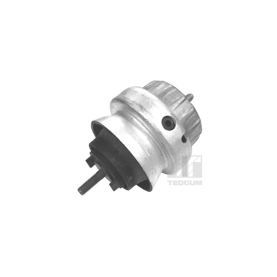 Tedgum Palier De Support De Corps D'essieu/Moteur 00056444 Audi