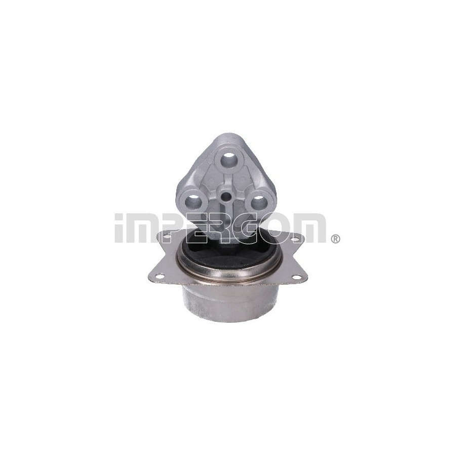 Impergom Support Moteur 25928 - Image 4