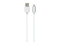 Carpoint USB>Lightning kabel 2 Meter 