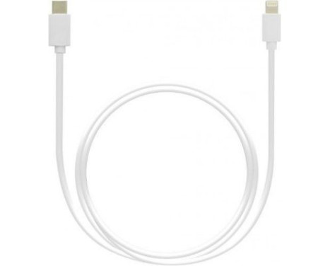 Grab 'n Go - Câble Lightning vers USB C 1m (non MFI) - Blanc