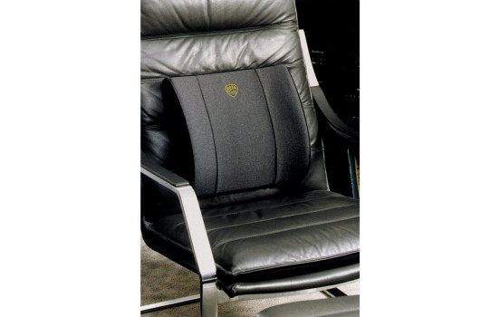 Coussin lombaire Defa Lumbaar gris, Image 4