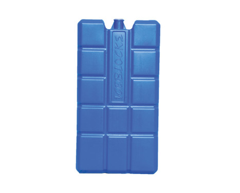 Carpoint Élément réfrigérant 400g