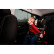 Ensemble de pare-soleil pour voitures (portes arrière) adapté pour Ford Ranger 4 portes 2023- (2 pièces), Vignette 4