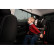 Pare-soleil (portes arrière) adapté pour Audi A3 8V 5 portes 2012- (2 pièces) PV AUA35B18 Privacy shades, Vignette 4
