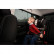 Pare-soleil (portes arrière) compatibles avec BMW Série 7 G11 2015- (4 pièces), Vignette 7