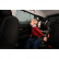 Pare-soleil (portes arrière) pour BMW Série 3 F31 Touring 2012-2019 (4 pièces) PV BM3EC18 Privacy shades, Vignette 7