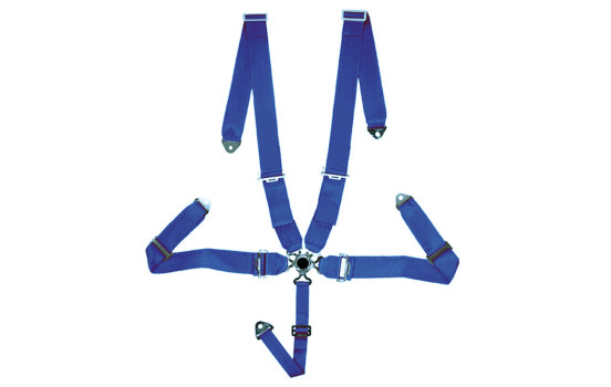 Ceinture de sport de course bleue à 5 points + dégagement rapide + marque E (3 pouces)