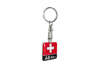 Porte-clés en acier inoxydable - 'Blood Type' AB RH+