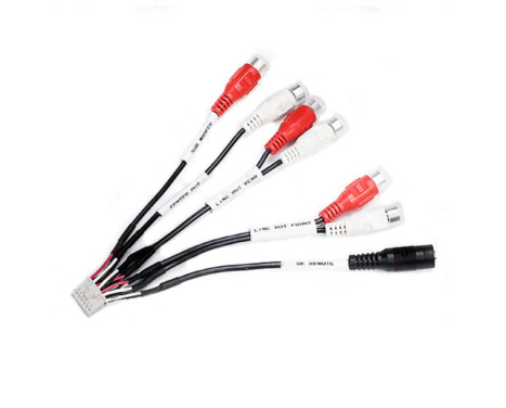 Câble de port d'extension JVC 14 broches