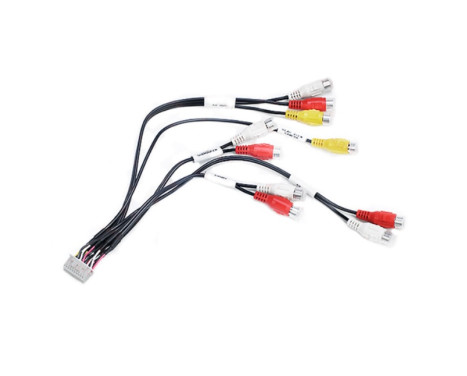 Câble de port d'extension Kenwood 20 broches