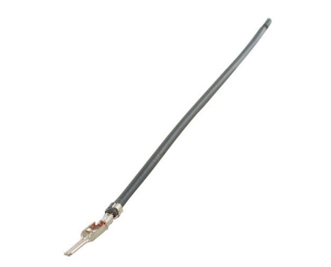 Longueur du câble du minuteur: 14 cm