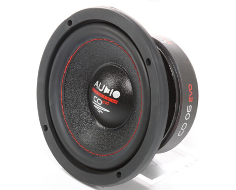 SYSTÈME AUDIO CO-SERIES Woofer à HAUTE EFFICACITÉ 165 mm, Image 4