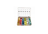 Assortiment de fusibles 120 pcs