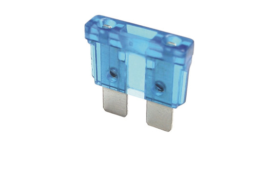 Norm Fusible, Image 2