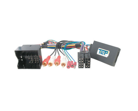Interface au volant adaptée à Seat