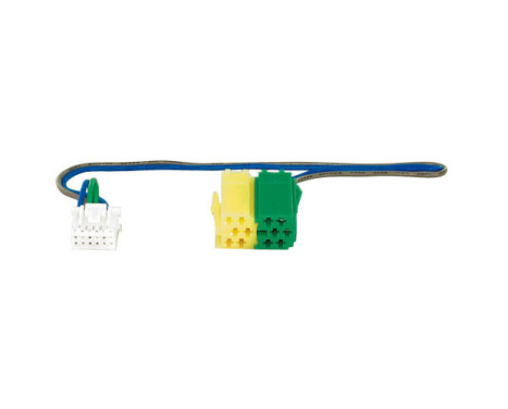 Radiolead Blaupunkt